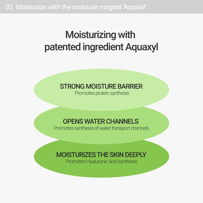 Calming Lotus Cream – Lightweight Hydrating & Soothing Moisturizer Face Cream for Sensitive Skin | 75% Lotus Water Extract & Niacinamide for Anti-Aging | Vegan Korean Skincare (2.03 Fl Oz)